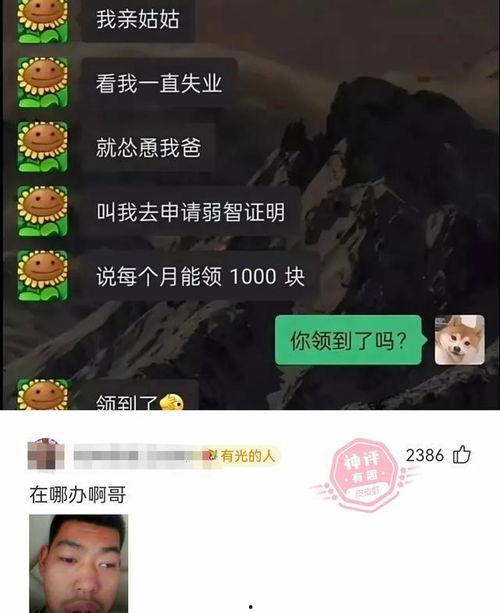 搞笑评论相片,笑破肚皮！搞笑评论相片大盘点