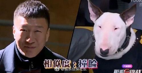 孙红雷 搞笑改编视频